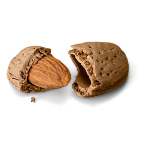 Almendra Marcona 500gr